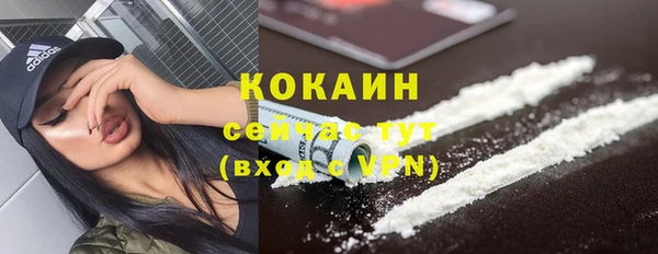 ECSTASY Белокуриха