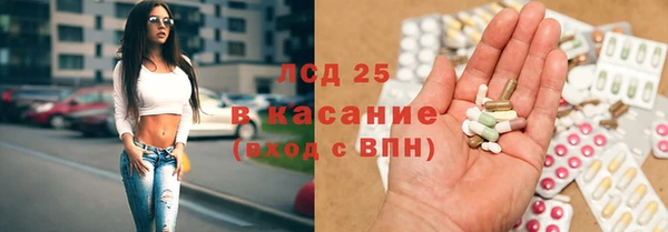 ECSTASY Белокуриха